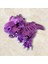 3D T-Rex Dinozor Figür 2