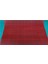 Kırmızı Islak Zemin Matı Iç ve Dışmekan Kaymaz Paspas Yolluk Zmat 3