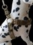 Köpek göğüs tasması orta ve büyük ırk kamuflaj destekli kumaş genişlik:3cm göğüs ölçüsü:55-95cm ayarlamalı dog harness GT4-7 6
