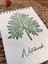 Owlnotebook Bloknot 1