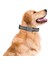 Tagsafe Dogcol Taşınabilir Anahtarlık Airtag Kılıf Gray 3
