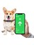 Tagsafe Dogcol Taşınabilir Anahtarlık Airtag Kılıf Gray 4