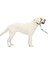 Petsafe Nazik Leader Baş Yaka, Çekmesiz Köpek Tasması, Büyük 27-59 Kg, Siyah 5