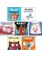 İki Sincap Bir Kozalak (Rachel Bright) + Evini Arayan Yavru Kurt + Köpekler Bale Yapmaz + Gergedanlar Krep Yemez + Mamut (Anna Kemp) + Sevgi Canavarı + Cesur Koala / 7 Kitap Set 1