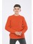 Erkek Çocuk Regular Fit Basic Triko Kazak (4-13) Yaş 1