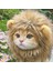 Kedi Kostümü Aslan Yelesi 1