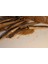 Stick Esmer Şeker 4
