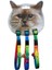 Kedi Boyun Tasması Gökkuşağı 10mm28cm (3 Lü) 1