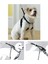 Dog Training XS (34"x9-12") Eğitim Tasması 1