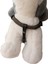 köpek göğüs tasması minik ırk örgülü kolon yeşil göğüs ölçüsü:30-60cm ayarlamalı dog harness GT4-25 4
