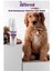 Köpek Parfümü 175 ml 2
