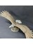 Kartal Biblo Büyük Kartal Dekor Kartal Heykel 5