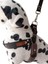 köpek göğüs tasması orta ırk deri örgülü kolon göğüs ölçüsü:60-80cm ayarlamalı dog harness GT5-27 3