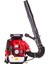 EB-985 EUR5 Sırt Tipi Yaprak Üfleme Makinesi 5 Hp 1