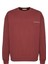 Raırok Erkek İçi Polarlı Comfort Oversize Nakışlı Bordo Sweat 4