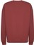 Raırok Erkek İçi Polarlı Comfort Oversize Nakışlı Bordo Sweat 5