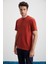 Cultıvated Erkek 3'lü Kalın Dokulu Regular %100 Organik Pamuk Vnly/kyeşil/krmt T-Shirt 2