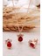 Lal Taşlı Damla Rose Gümüş Set 2471 1