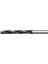 Kalıpçı Matkap Ucu Sds 12 x 600 1