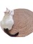 Can Sıkıntısını Giderme ve Kedi Oyuncakları (Yurt Dışından) 1