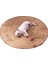Can Sıkıntısını Giderme ve Kedi Oyuncakları (Yurt Dışından) 1