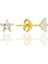 Gümüş Zirkon Taşlı, Altın Yaldızlı, Yıldız Kesim 5 mm Tektaş Küpe SGTL12737GOLD 1