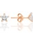 Gümüş Zirkon Taşlı, Rose, Yıldız Kesim 5 mm Tektaş Küpe SGTL12737ROSE 1