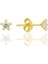 Gümüş Zirkon Taşlı, Altın Yaldızlı, Yıldız Kesim 4 mm Tektaş Küpe SGTL12736GOLD 1