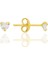 Gümüş Zirkon Taşlı, Altın Yaldızlı, Kalp Kesim 3 mm Tektaş Küpe SGTL12738GOLD 1