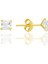 Gümüş Zirkon Taşlı, Altın Yaldızlı, Kare (Prenses) Kesim 4 mm Tektaş Küpe SGTL12742GOLD 1