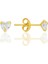 Gümüş Zirkon Taşlı, Altın Yaldızlı, Kalp Kesim 4 mm Tektaş Küpe SGTL12739GOLD 1