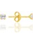 Gümüş Zirkon Taşlı, Altın Yaldızlı, Yuvarlak Kesim 3 mm Tektaş Küpe SGTL12744GOLD 1