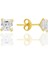 Gümüş Zirkon Taşlı,altın Yaldızlı,kare (Prenses) Kesim 5 mm Tektaş Küpe SGTL12743GOLD 1