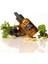 Antioxidant Glow Facial Essence | Aydınlatıcı Antioksidan Yüz Bakım Serumu 40ML 4