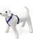 Köpek Göğüs Tasması M Mavi 45-70x2 cm 2