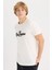 %100 Pamuk Slim Fit Dar Kesim Bisiklet Yaka Baskılı Kısa Kollu Tişört D5572AX25SP 1