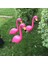 Flamingo Çim Süslemeleri Dekor I Iyor (Yurt Dışından) 4