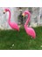 Flamingo Çim Süslemeleri Dekor I Iyor (Yurt Dışından) 5