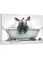 Hayvan Cam Tablo - Sevimli Dostlar Banyoda - Yatay Motif 02-013 1