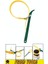 Ayarlı Kayışlı Kemerli Yağ Filtre Sökme Anahtarı 9" 225 mm 1
