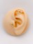 Cerrahi Çelik Piercing Marka Model Kıkırdak Helix Tragus Piercing (1 Adet) 1