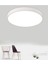Ledli Tavan Lambası Tuvalet Banyo Balkon Koridor Aydınlatma Avize Aplik 6500K Beyaz Işık 25 cm Çap 2