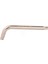 Torx Allen Anahtar T55 1