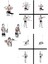 Makara Fitness Seti 3