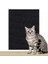 Anti-Kedi Çizik Kanepe Koruyucu Kaplama Kedi Çizik Pedi Kesilebilir Kendinden Yapışkanlı Onarım Kanepe Kedi Çizik Kurulu Duvar Sticker (Yurt Dışından) 1