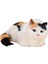Kitty Doldurulmuş Dekoratif Şkinler Için Ğum Günü Hediyeleri Çok (Yurt Dışından) 4