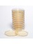 Hazır Sabouraud Dextrose + Cycloheximide Besiyeri 1