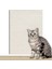 Anti-Kedi Çizik Kanepe Koruyucu Kaplama Kedi Çizik Pedi Kesilebilir Kendinden Yapışkanlı Onarım Kanepe Kedi Çizik Kurulu Duvar Sticker (Yurt Dışından) 1