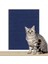 Anti-Kedi Çizik Kanepe Koruyucu Kaplama Kedi Çizik Pedi Kesilebilir Kendinden Yapışkanlı Onarım Kanepe Kedi Çizik Kurulu Duvar Sticker (Yurt Dışından) 1