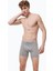 Erkek Gri Premium Collection Modal Uzun Boxer 250 3